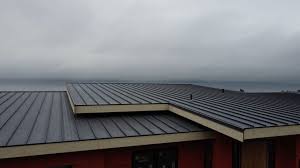 Best Steel Roofing  in Greenbriar, VA